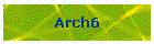 Arch6