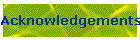 Acknowledgements