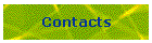 Contacts