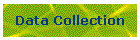 Data Collection
