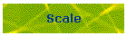 Scale