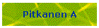 Pitkanen A