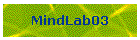 MindLab03